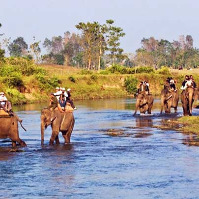 People on elephants back for a Nepal jungle safari